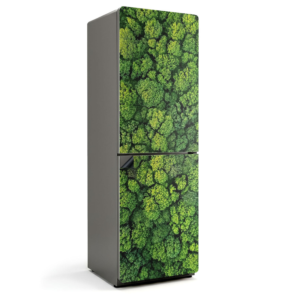 Magnet na ledničku Horská krajina se zeleným lesem