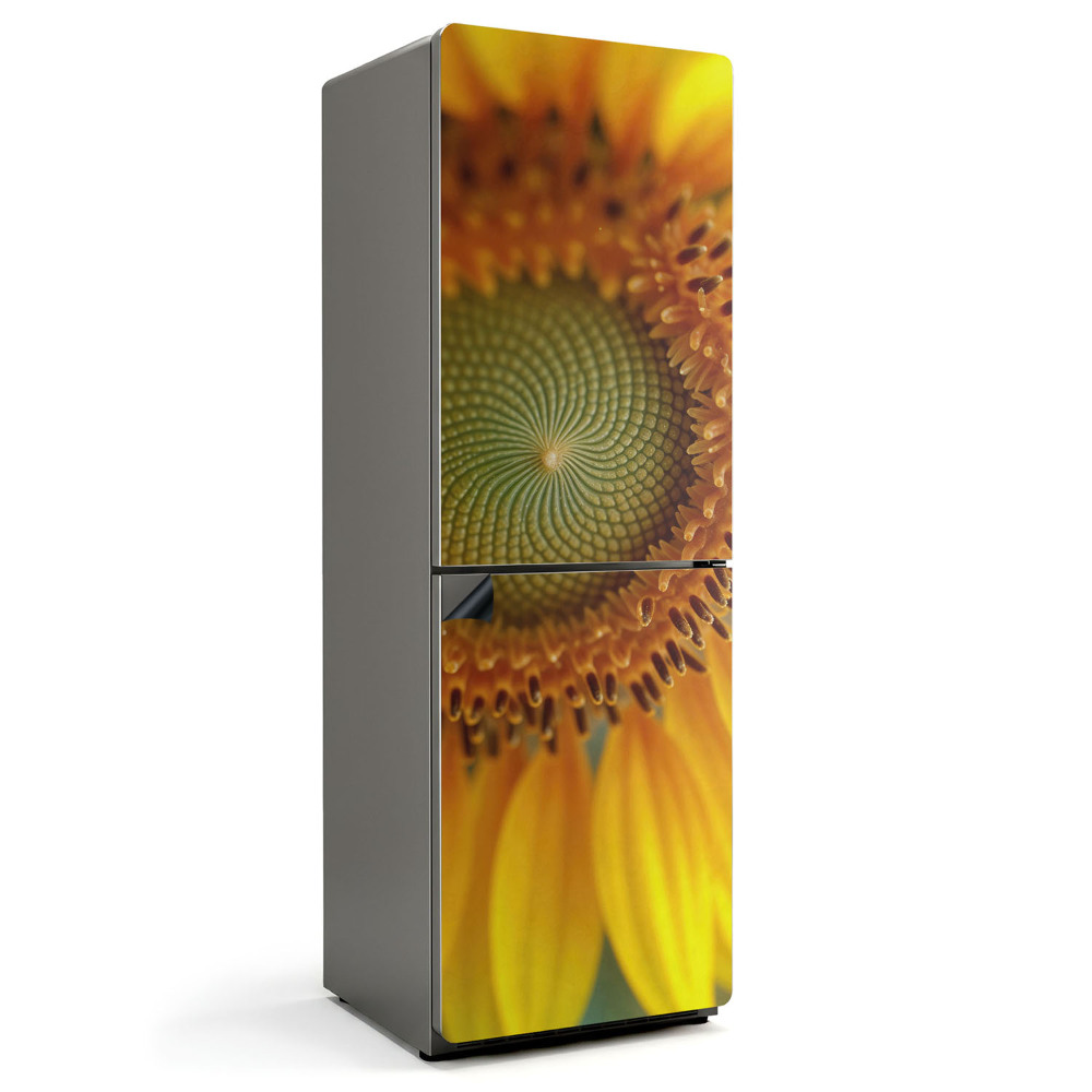 Magnet na ledničku Slunečnicový detail v barvě