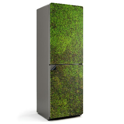 Magnet na ledničku Přírodní mech v detailu