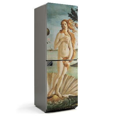 Magnet na ledničku Venuše v novém světle