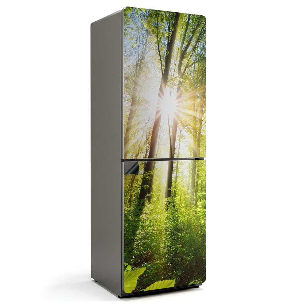 Magnet na ledničku Zářivé paprsky slunce