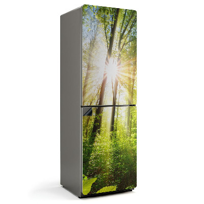 Magnet na ledničku Zářivé paprsky slunce