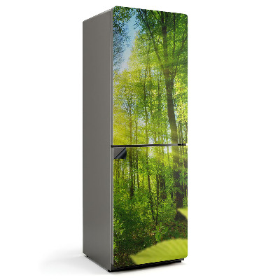 Magnet na ledničku Sluneční paprsky v lesním prostředí