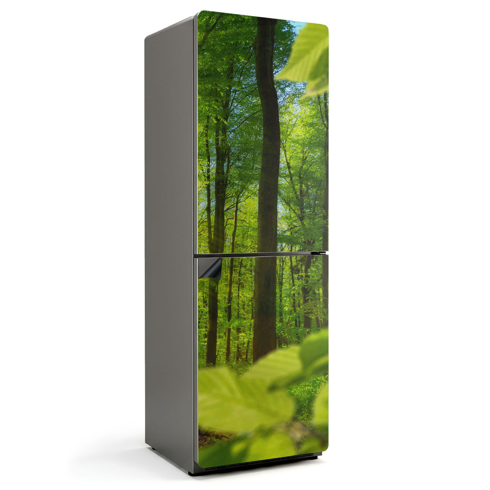 Magnet na ledničku Zelený háj v paprscích slunce