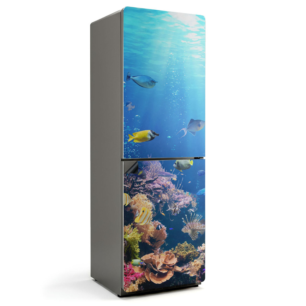 Magnet na ledničku Korálové země hlubin