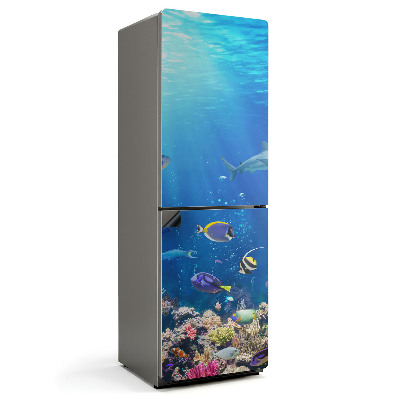 Magnet na ledničku Mořská země ryb