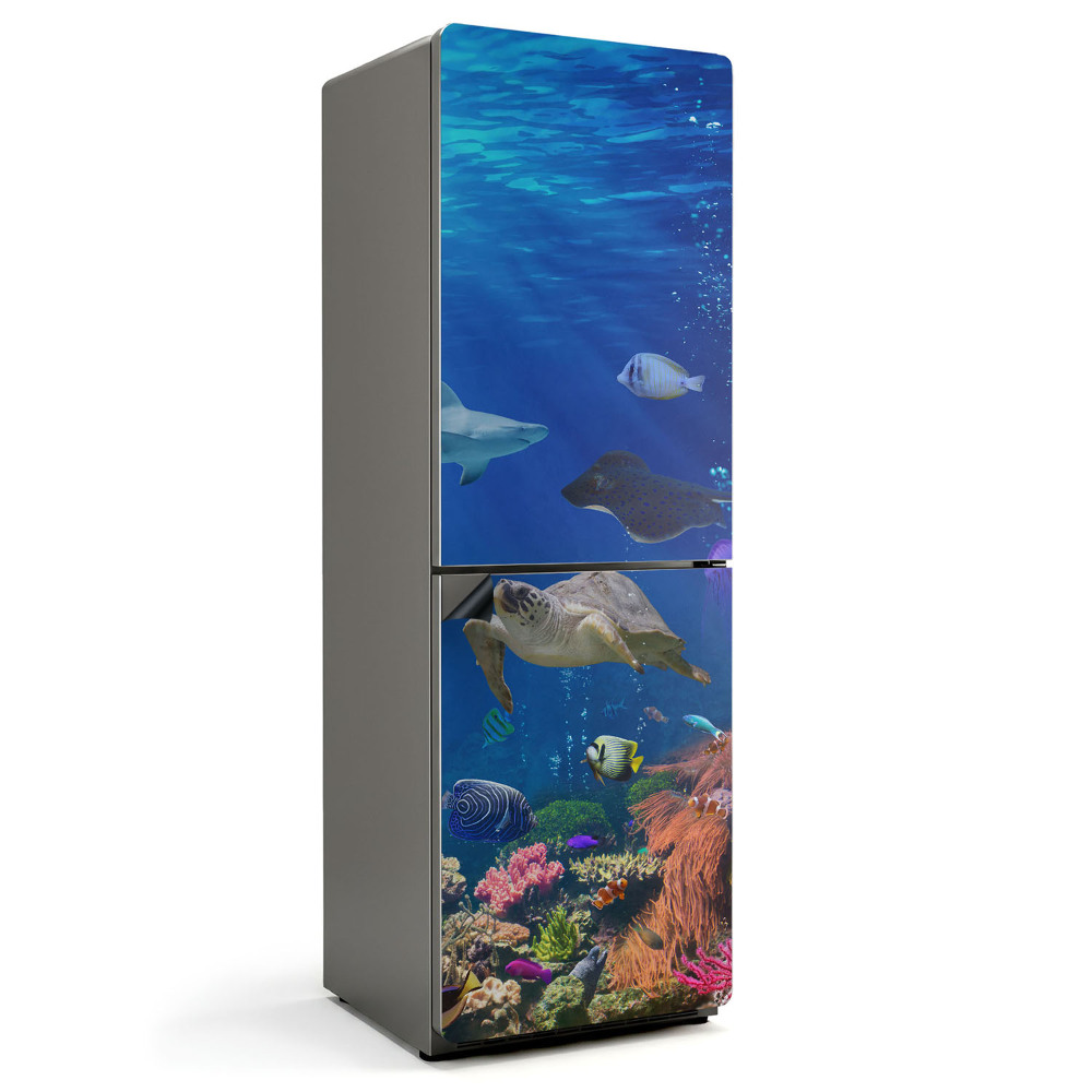 Magnet na ledničku Mořská země s bohatstvím života