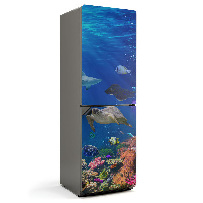 Magnet na ledničku Mořská země s bohatstvím života