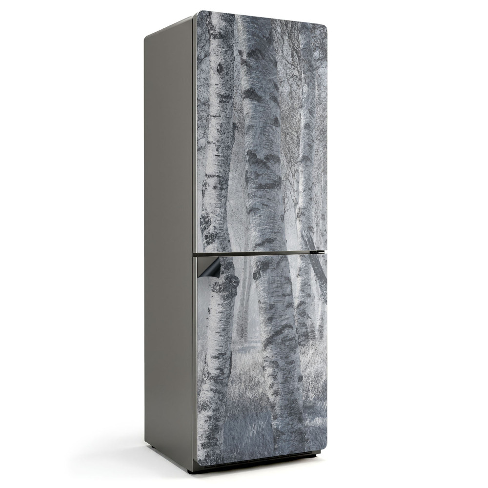 Magnet na ledničku Mlžné březové houští