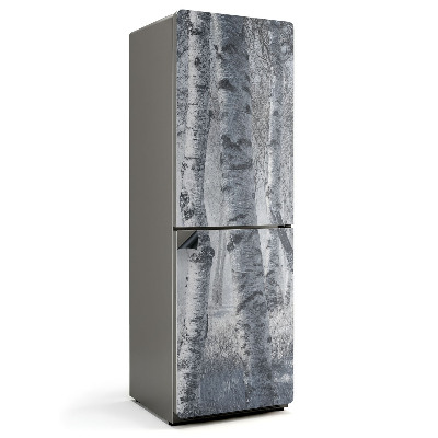 Magnet na ledničku Mlžné březové houští