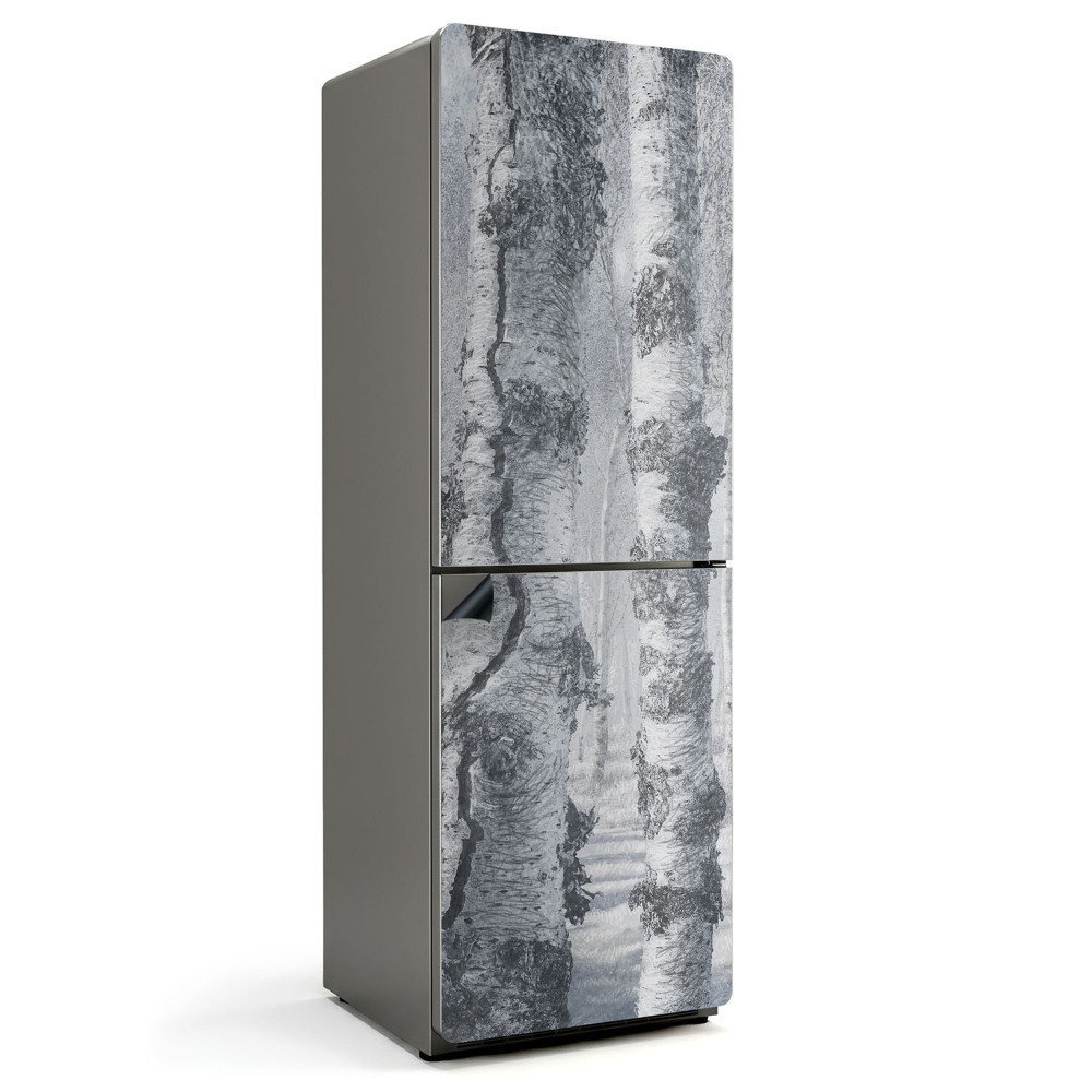 Magnet na ledničku Závoj mlhy v březovém lese