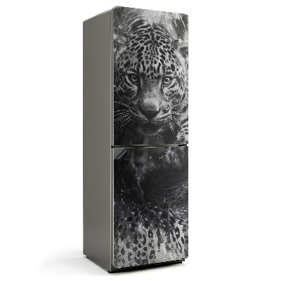 Magnet na ledničku Divoká tvář jaguára