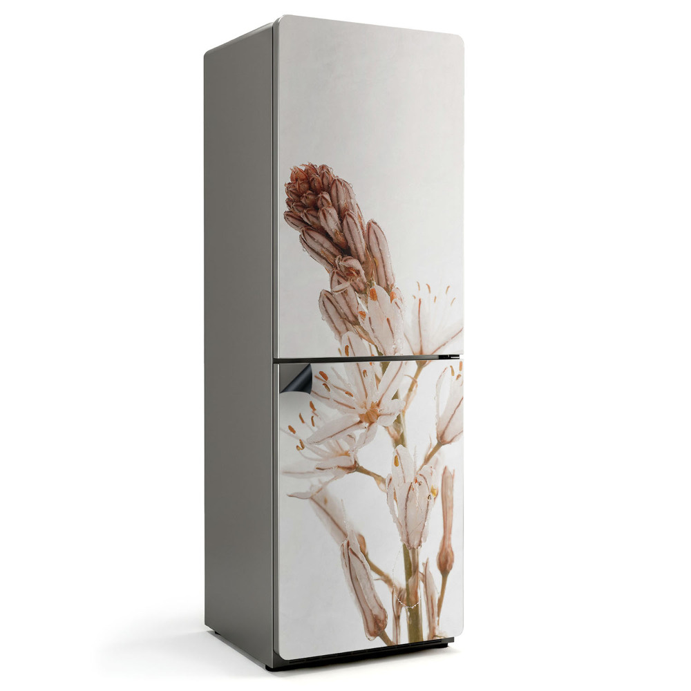 Magnet na ledničku Jemné detaily rostliny zblízka