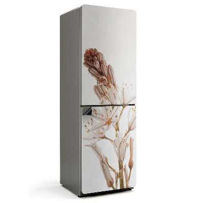 Magnet na ledničku Jemné detaily rostliny zblízka