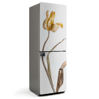 Magnet na ledničku Sušení tulipánů