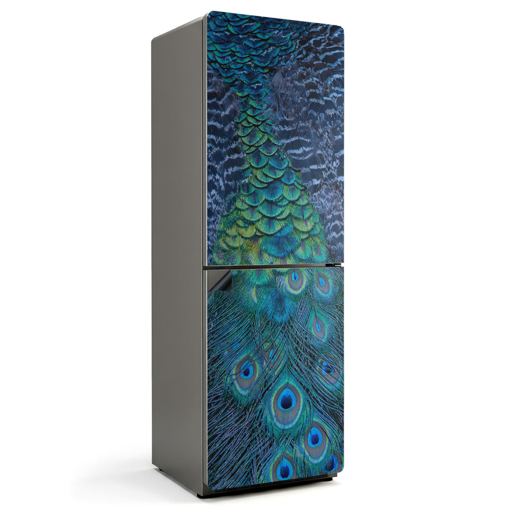 Magnet na ledničku Detail pavích per