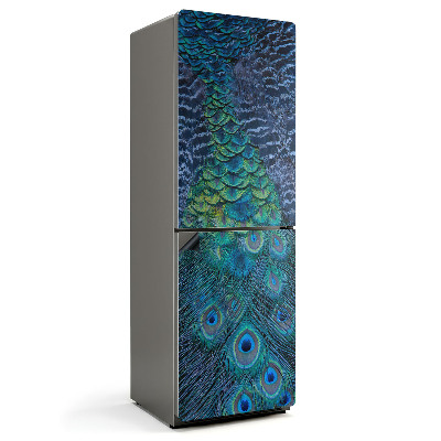 Magnet na ledničku Detail pavích per