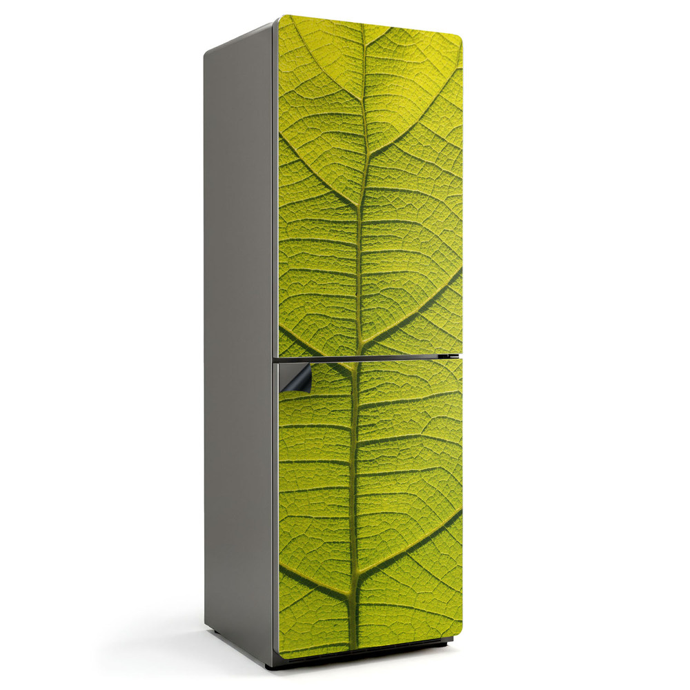 Magnet na ledničku Detaily listnaté rostliny