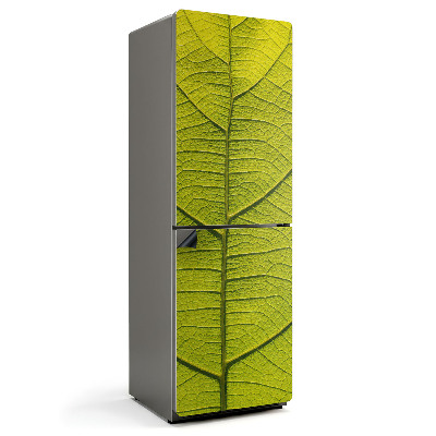 Magnet na ledničku Detaily listnaté rostliny