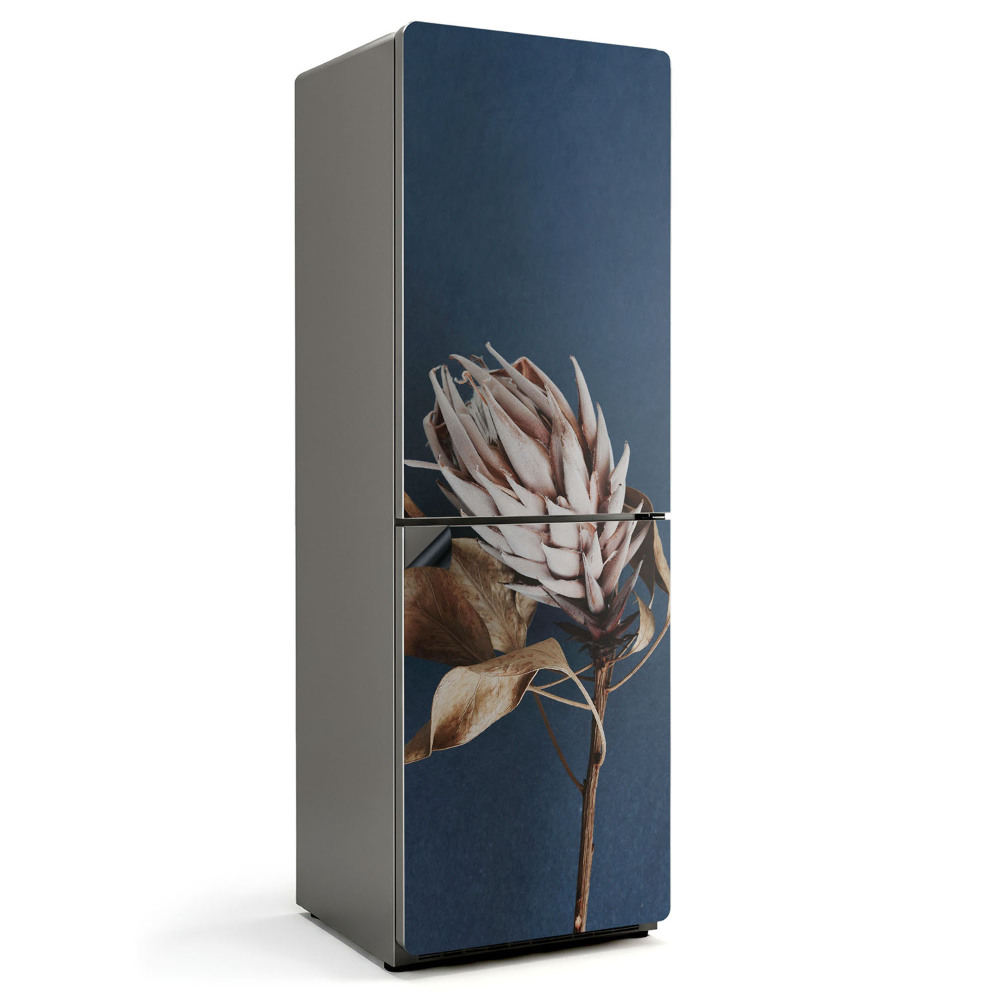 Magnet na ledničku Detail sušené rostliny