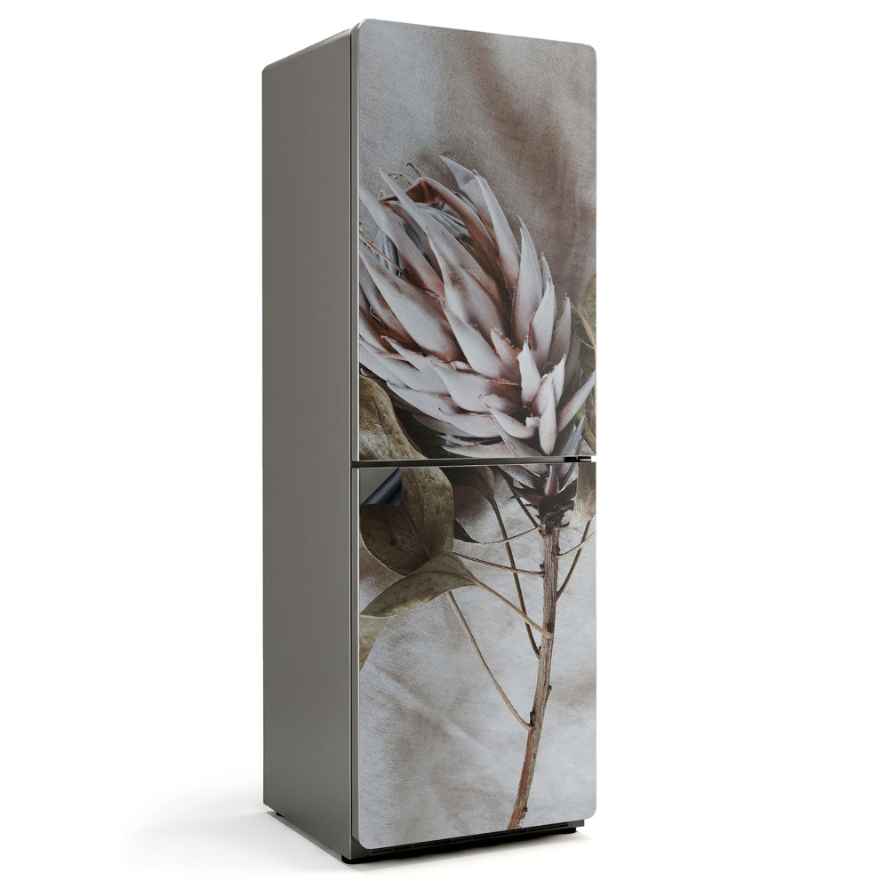 Magnet na ledničku Detail sušené rostliny