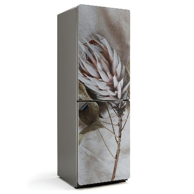 Magnet na ledničku Detail sušené rostliny