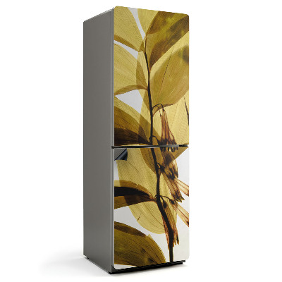 Magnet na ledničku Květinové a listové průhledné fólie