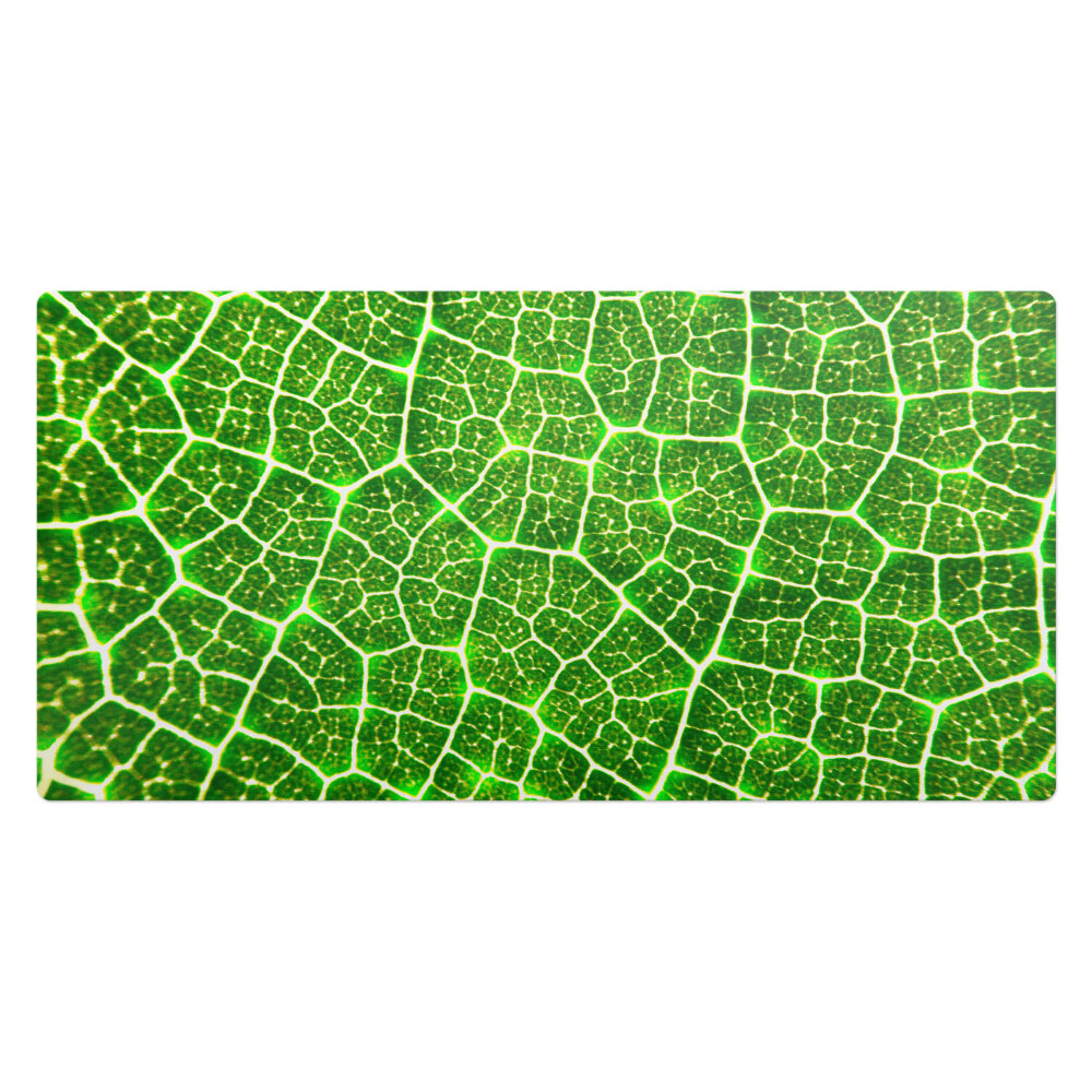 Podložka na stůl dětská Detail listu