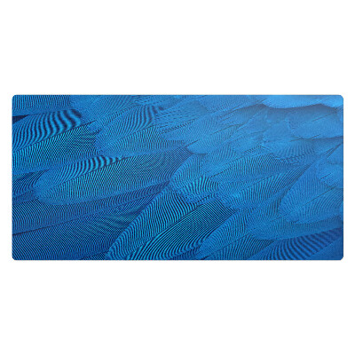 Pracovní podložka na stůl Ptačí peří zblízka