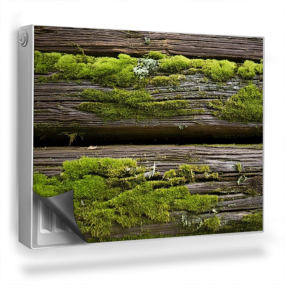 Magnet na radiátor Staré dřevěné desky pokryté mechem