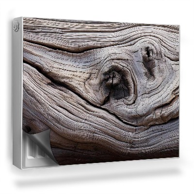 Magnet na radiátor Detail staré stromové struktury