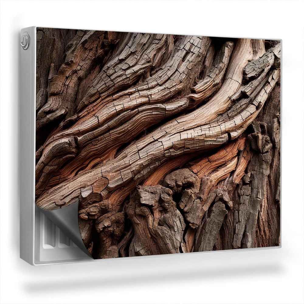 Dekorativní magnet na radiátor Textura kůry stromu staré dřevo