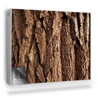 Magnetický kryt na radiátor Textura kůry kmene stromu staré dřevo