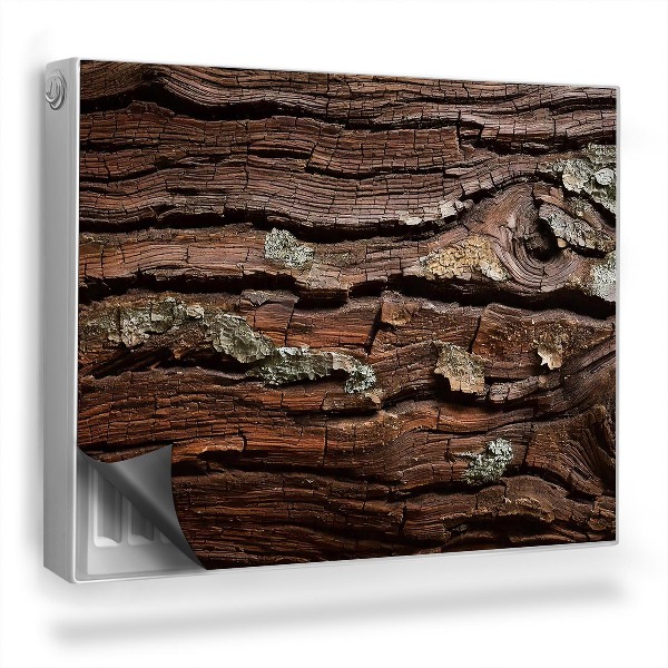 Magnet na radiátor Textura kůry stromu staré dřevo