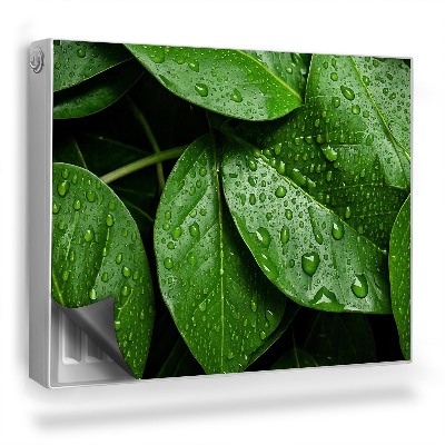 Magnetický kryt na radiátor Detail mnoha listů, kapky rosy, příroda