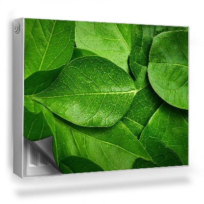 Magnet na radiátor Přiblížení překrývajících se listů