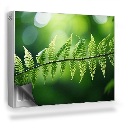 Dekorativní magnet na radiátor Přiblížení štíhlé větve kapradiny, svěží zelené