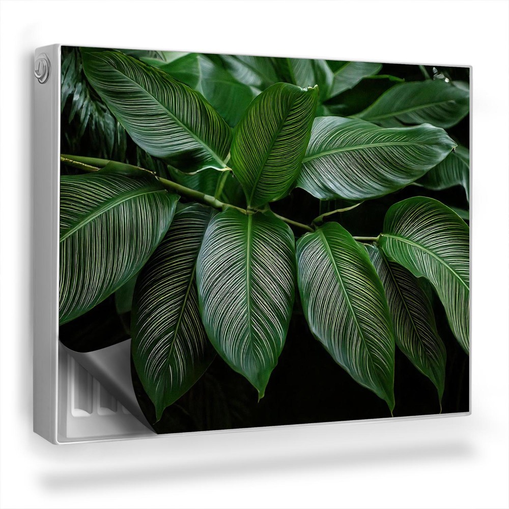 Magnet na radiátor Větev s tropickými lesklými listy