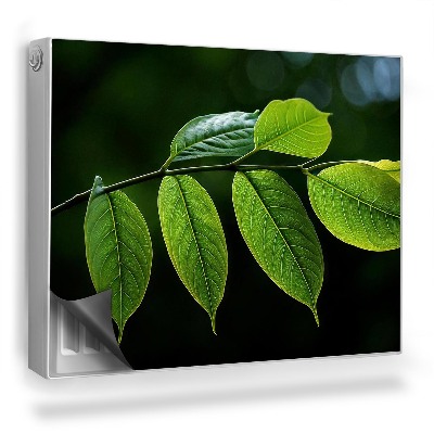 Magnet na radiátor Větev s intenzivně zelenými listy