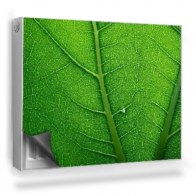 Magnet na radiátor Přibližte si strukturu listu a žilnatinu