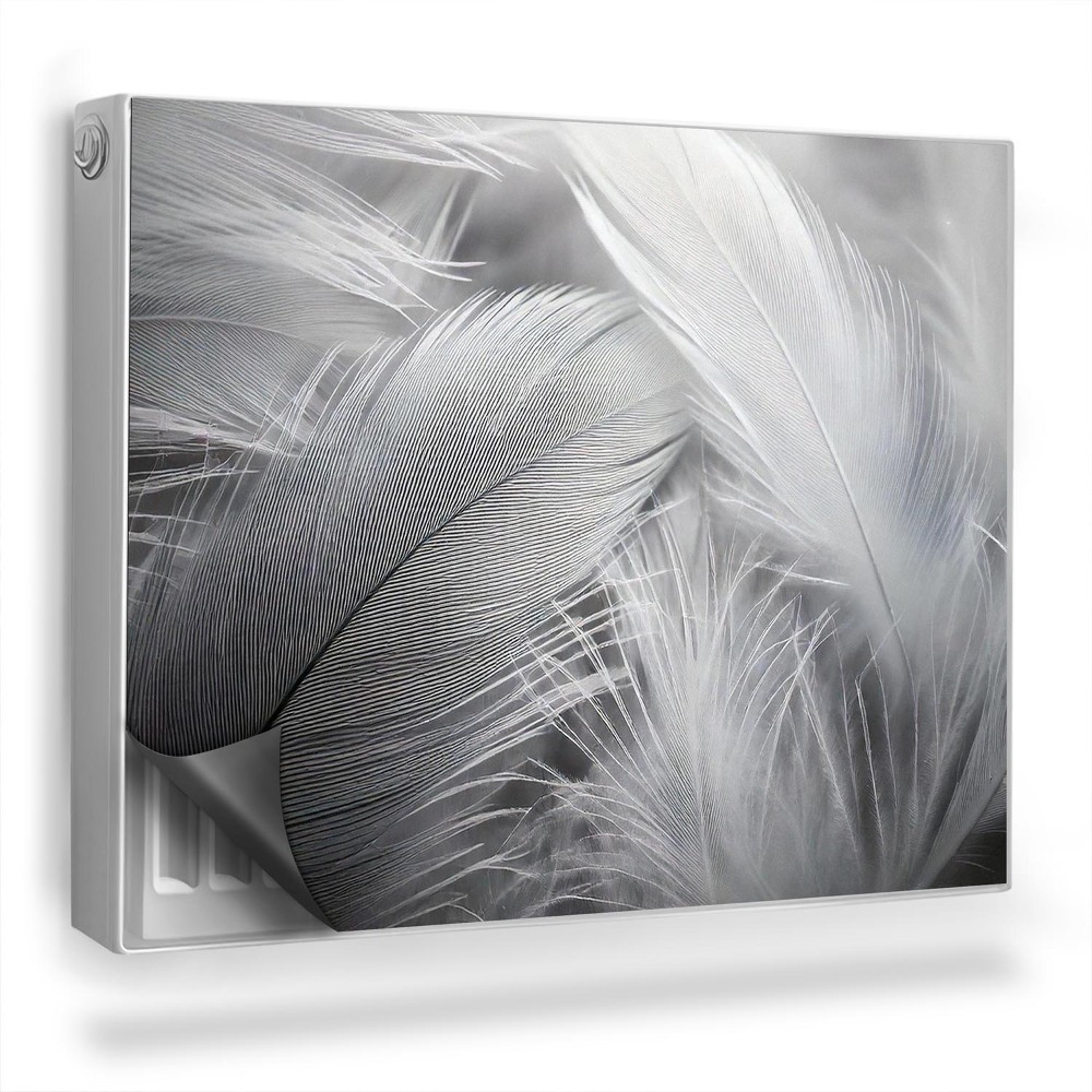 Dekorativní magnet na radiátor Jemné černobílé ptačí peří