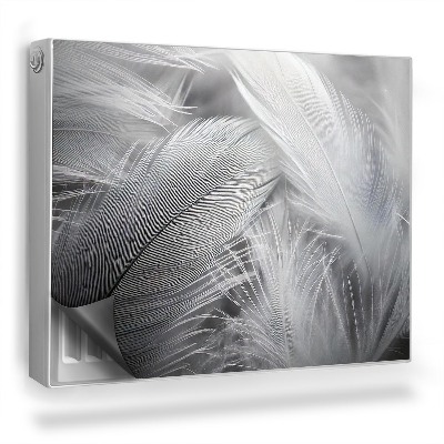 Dekorativní magnet na radiátor Jemné černobílé ptačí peří