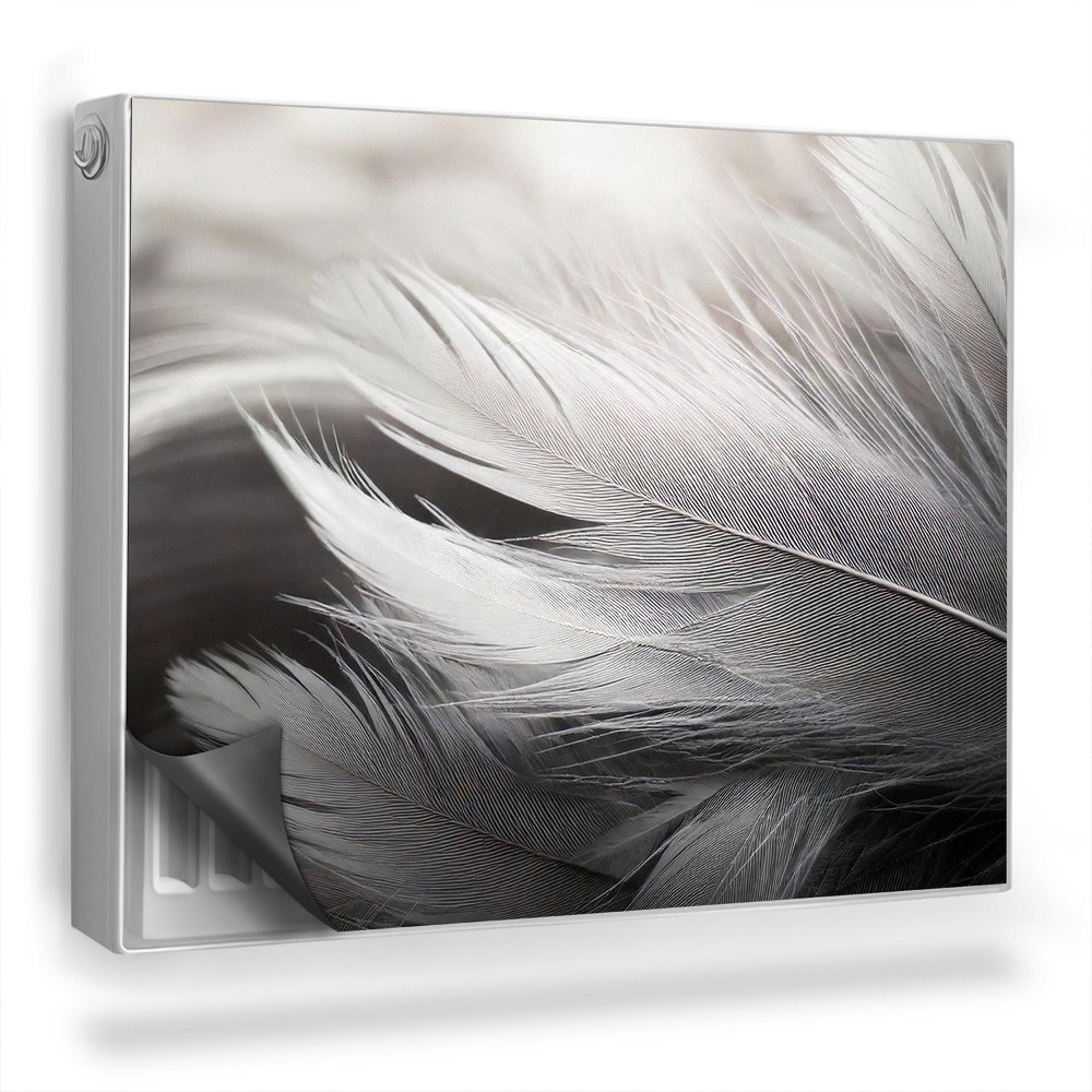 Magnetický kryt na radiátor Černobílé jemné ptačí peří