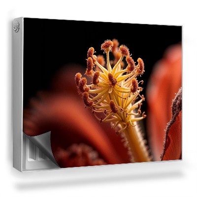 Dekorativní magnet na radiátor Květina detail přírodní krásy přírody