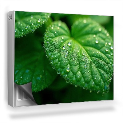 Magnetický kryt na radiátor Detail listu a kapek rosy