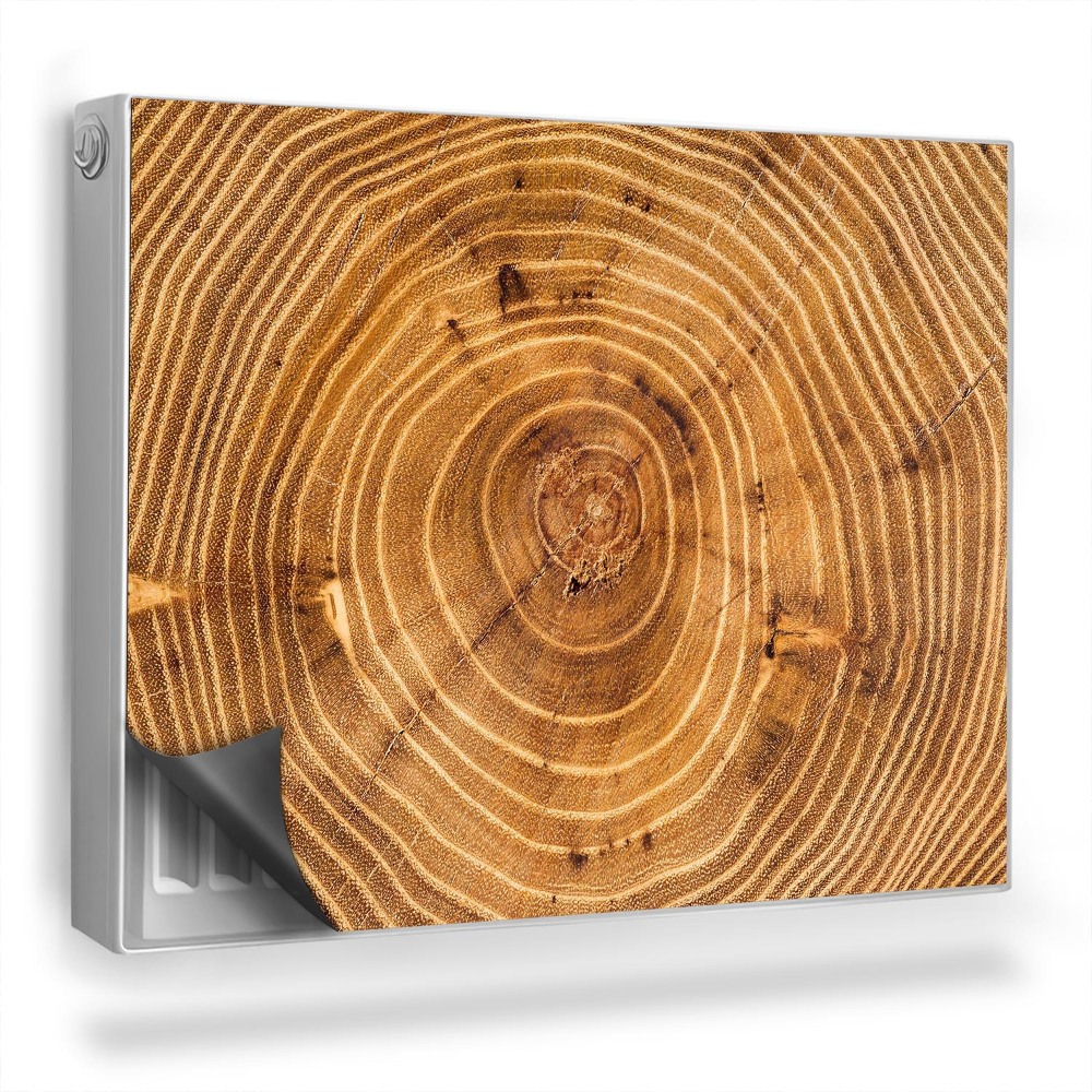 Magnetický kryt na radiátor Průřez starého kmene stromu s uzly a letokruhy