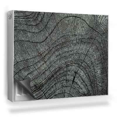 Dekorativní magnet na radiátor Detailní záběr na průřez starého stromu