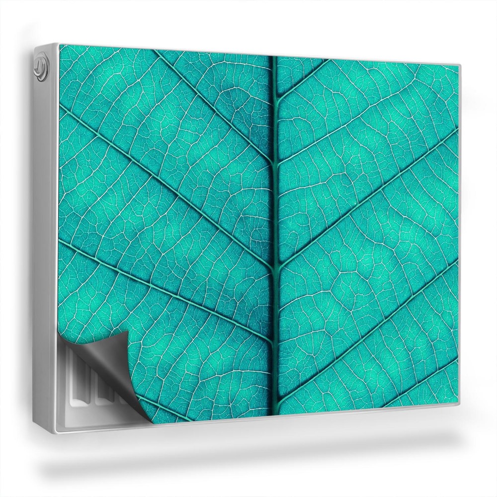 Magnetický kryt na radiátor Pohled na žilnatinu jednoho listu