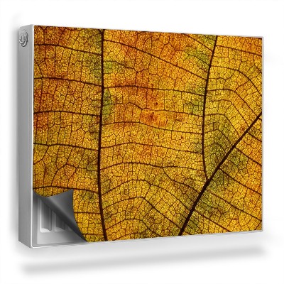 Magnet na radiátor Textura jemných žilek podzimního listí