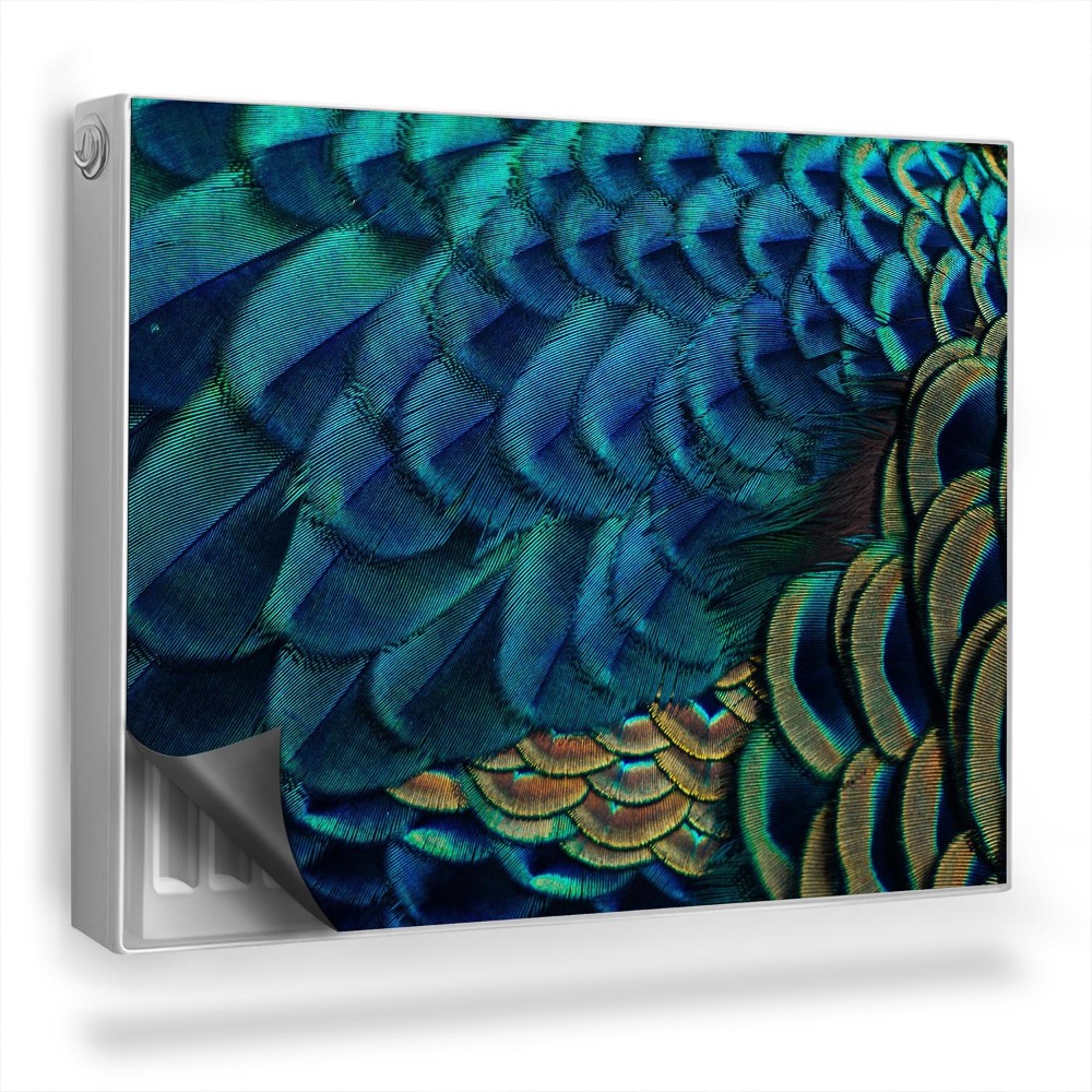 Dekorativní magnet na radiátor Detail barevného peří páva